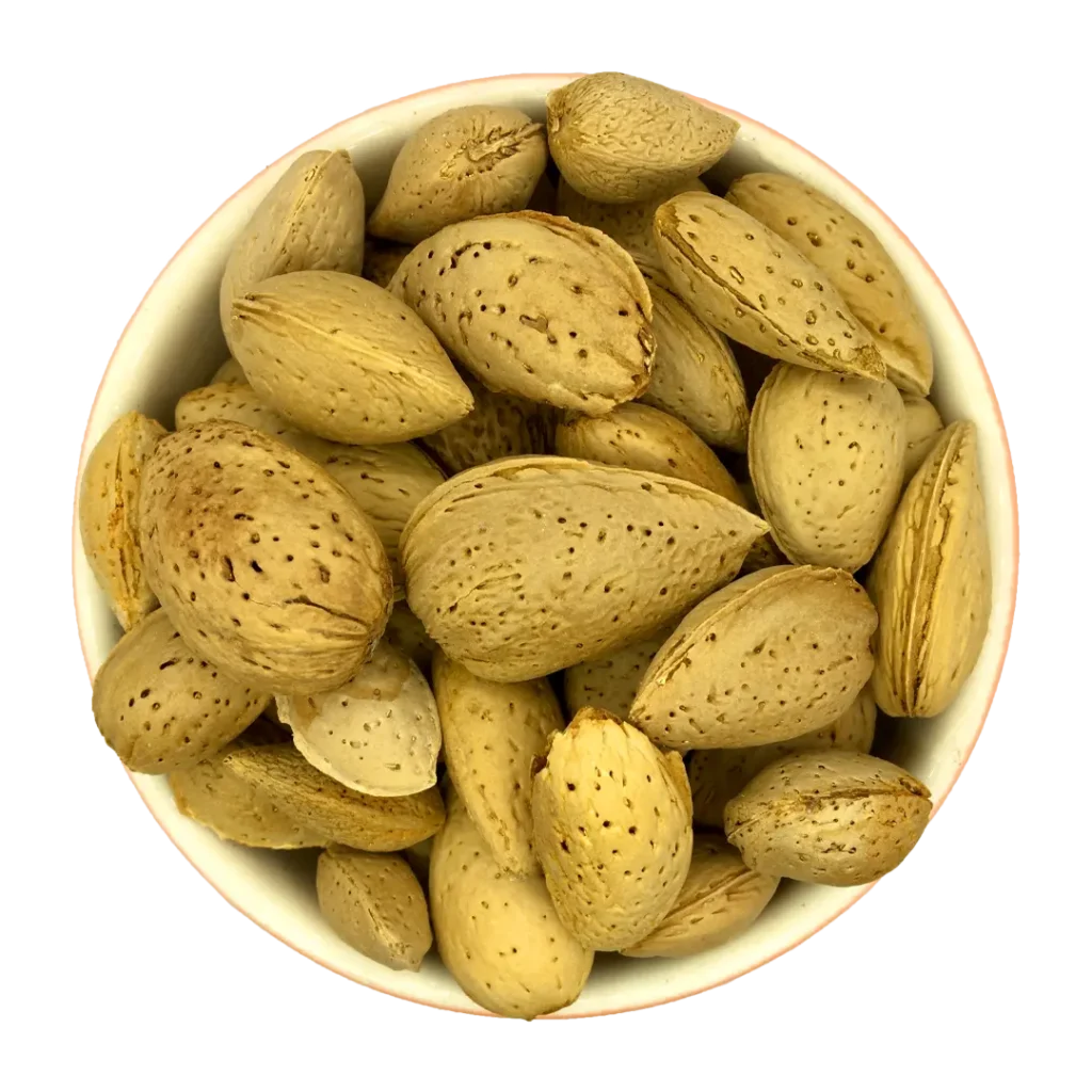 قیمت و خرید بادام سنگی