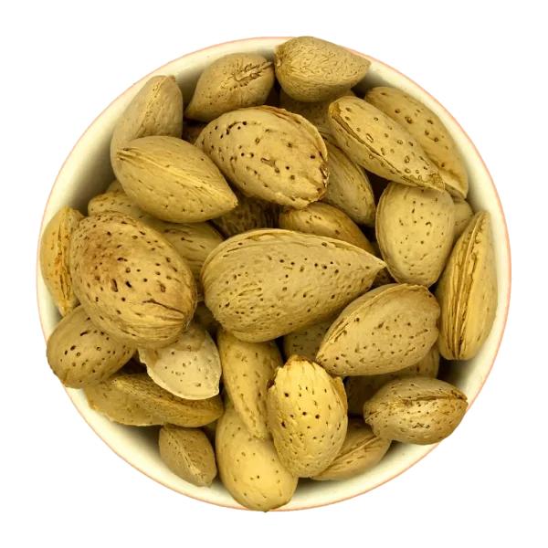 قیمت و خرید بادام سنگی