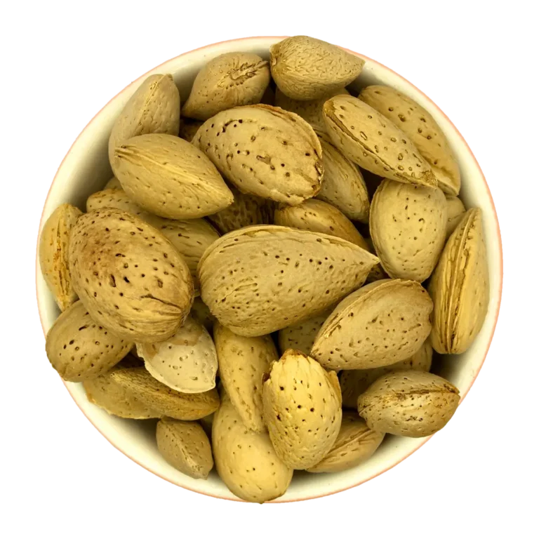 قیمت و خرید بادام سنگی