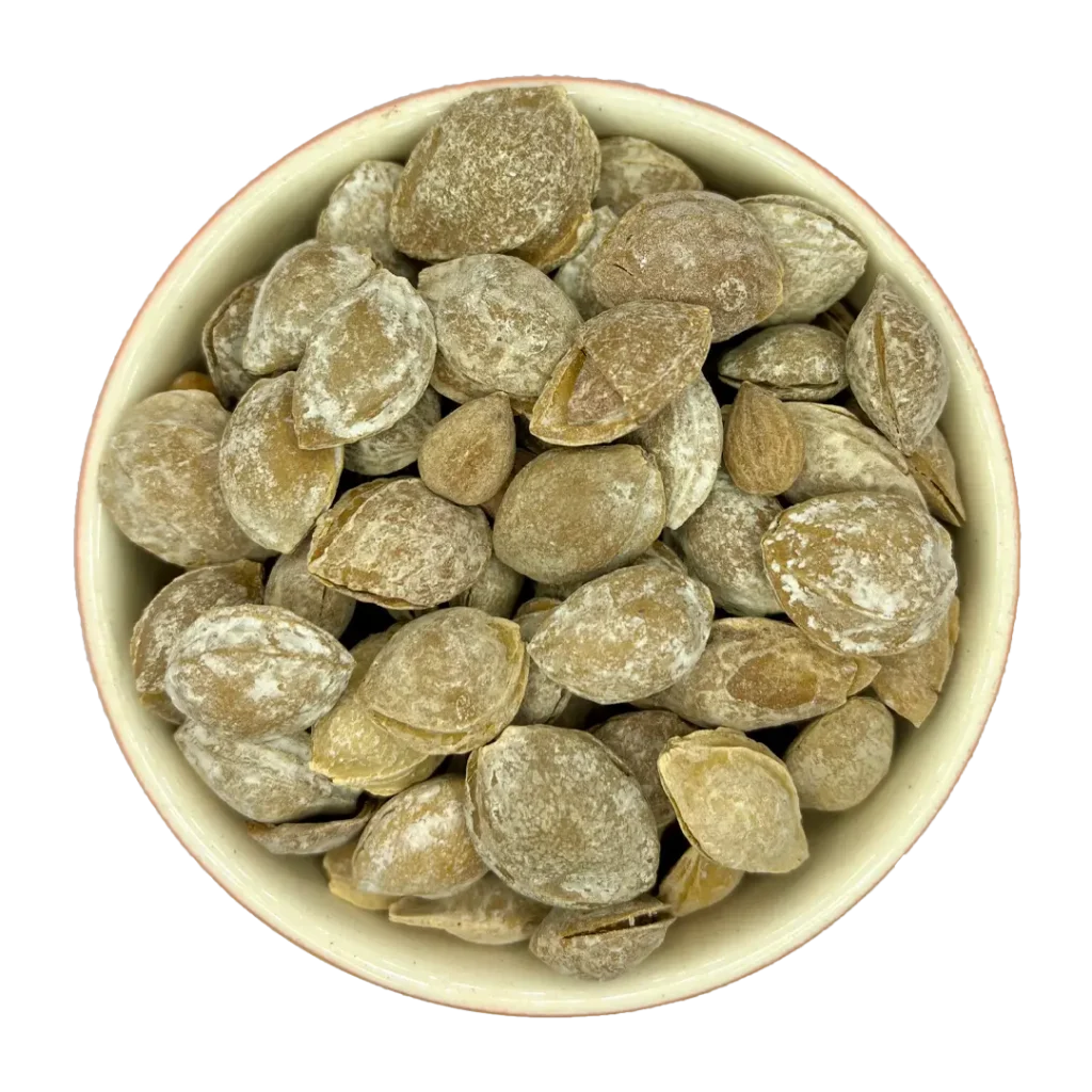 خرید هسته زردالو شور