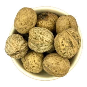 گردو ایرانی