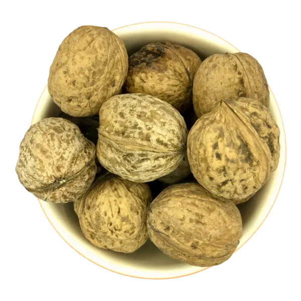 گردو با پوست گردو ایرانی