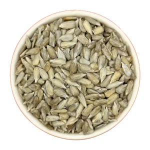 مغز تخمه آفتابگردان خام