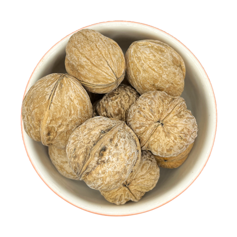 خرید گردو اقتصادی