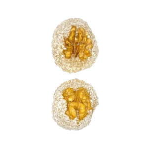 خرید باسلوق