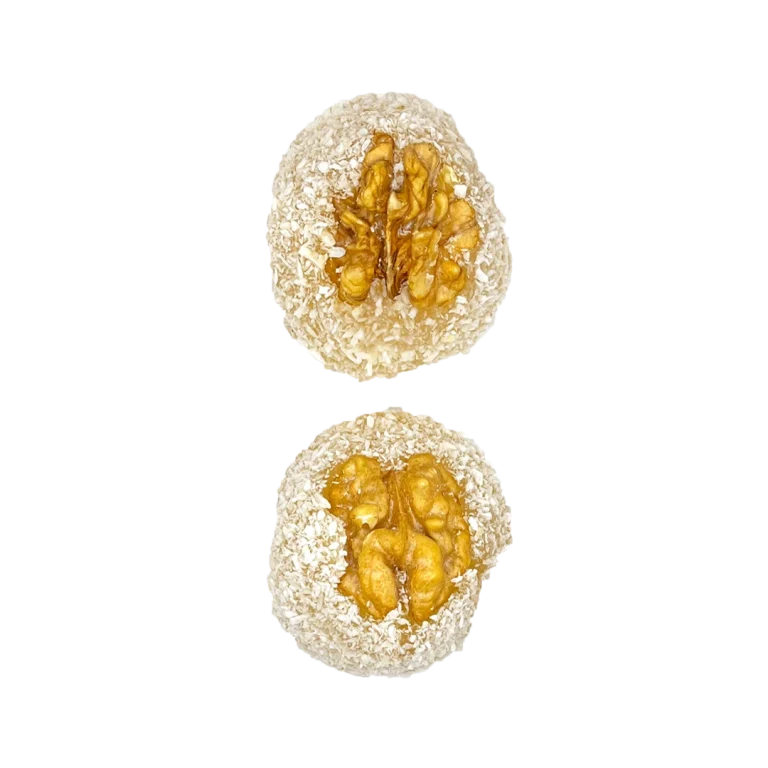 خرید باسلوق